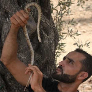 ular-senjata-baru-pemuda-palestina-hadapi-israel